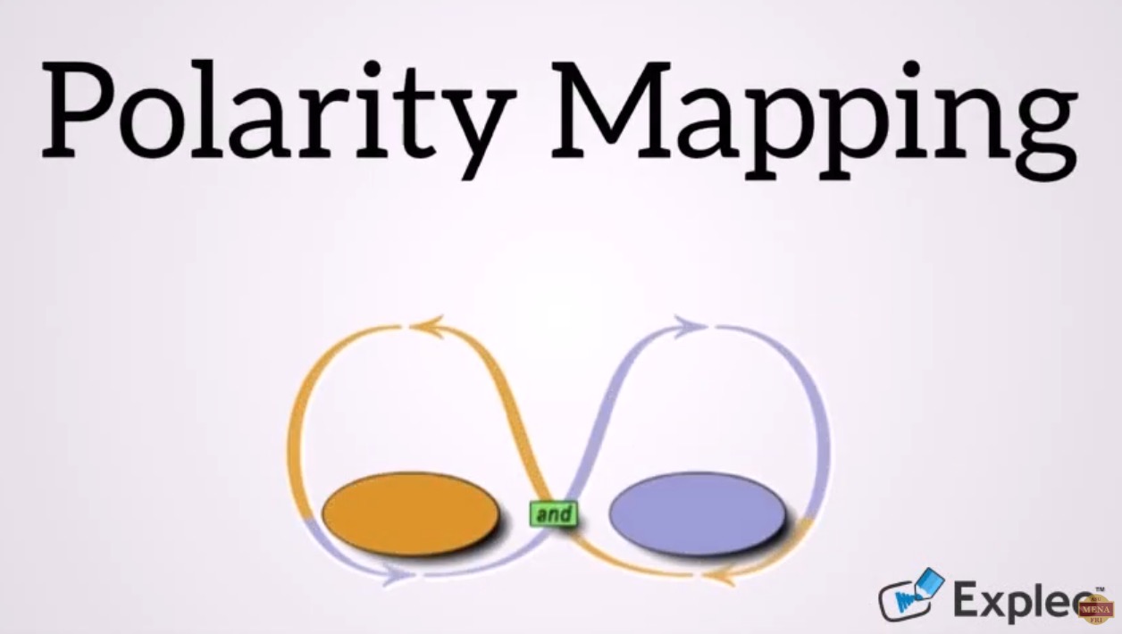 Summary video of polarity management