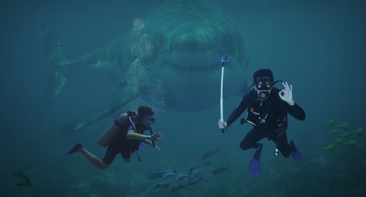 Divers with shark
