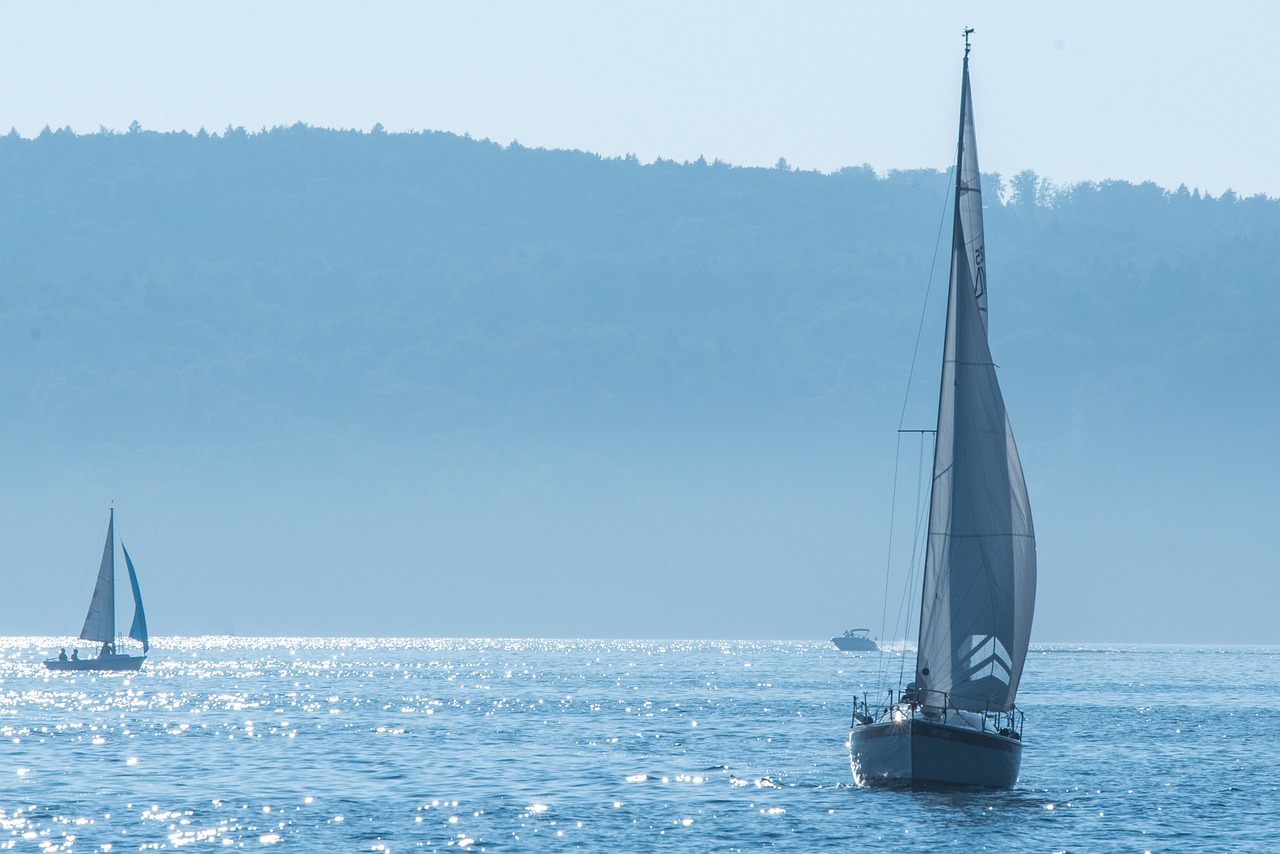 Sailboats on sparkling lake
